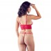 Cottelli Red Lace Bra And String